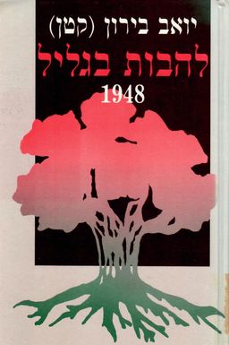 להבות בגליל 1948 / יואב בירון