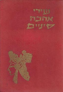 שירי אהבה סיניים : לקט משירת סין / 