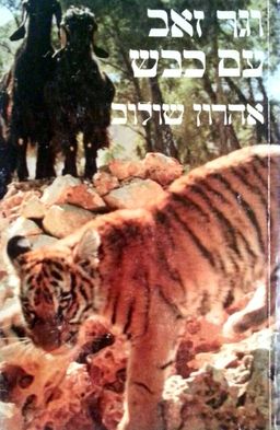 וגר זאב עם כבש / אהרון שולוב