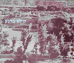 קדש ברנע - מצודת גבול מימי ממלכת יהודה - קטלוג מוזיאון ישראל #233 / רודולף כהן