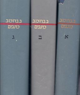 כתבים / ב. ברוכוב - 3 כרכים - ב. ברוכוב 