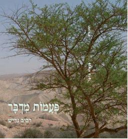פעמות מדבר - רביב גדיש פעמות מדבר - רביב גדיש
