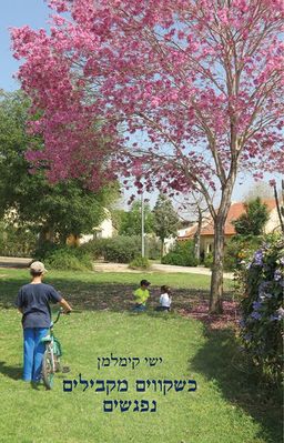 כשקווים מקבילים נפגשים / ישי קימלמן