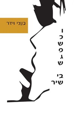 וכשפגש בי שיר / בנצי וידר