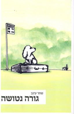 גורה נטושה / שחר עינב