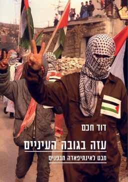 עזה בגובה העיניים / דוד חכם