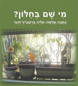 מי שם בחלון? - טליה ברקוביץ-זהבי