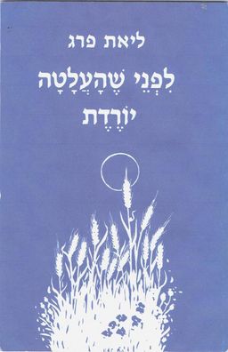 לפני שהעלטה יורדת / ליאת פרץ