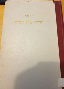 יחיד בין רבים - אידיליה מחיי היהודים בכפר פולני / יצחק ענפי