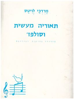 תאוריה מעשית וסולפז' (תיאוריה מעשית וסולפז') / מרדכי לויטס