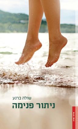 ניתור פנימה / שולה ברנע