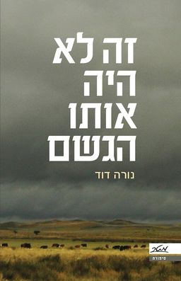זה לא היה אותו הגשם / נורה דוד