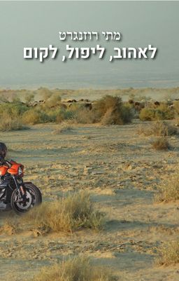 לאהוב, ליפול, לקום / מתי רוזנגרט
