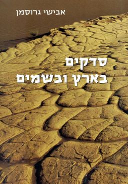 סדקים בארץ ובשמים / אבישי גרוסמן