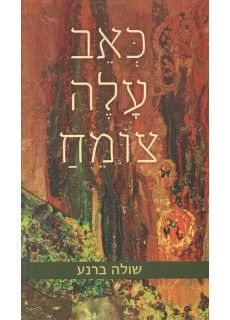 כאב עלה צומח / שולה ברנע